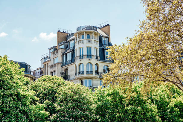 city apartments à paris, france - immeuble paris photos et images de collection