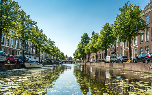 city of leiden with his canals in early morning sun picture