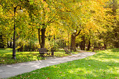 istock City park in autumn. Autumn Landscape. Beautiful autumn park at sunny weather. 1322661884