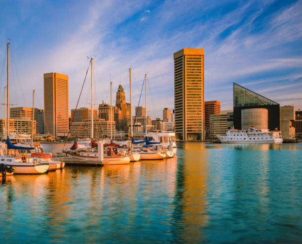 Cityscape with skyscrapers of Baltimore skyline Maryland Downtown Baltimore with Inner Harbor view from Federal Hill Park, with recreational yachts. national landmark stock pictures, royalty-free photos & images