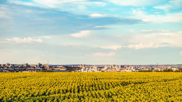 городской пейзаж с видом на центральный жилой район города белгорода, россия - belgorod стоковые фото и изображения
