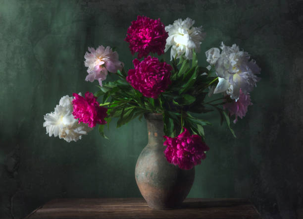 Classic still life with beautiful white and purple peony flowers bouquet in ancient jug. Art photography. Classic still life with beautiful white and purple peony flowers bouquet in ancient jug. Art photography. still life stock pictures, royalty-free photos & images