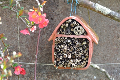 Clay insect hotel in a garden