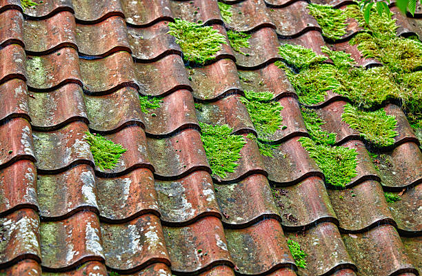 Clay Roof Tiles and Moss stock photo