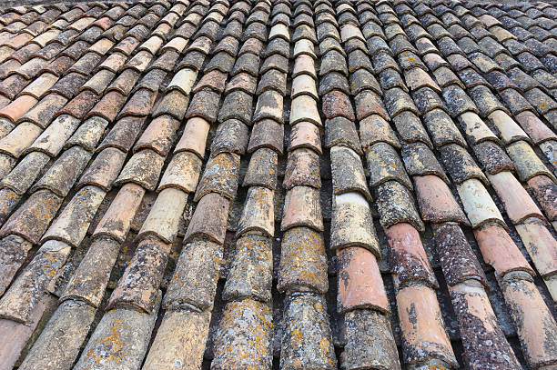 Clay roof tiles stock photo