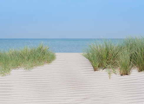 summer at clean and bright beach with sand dune, grass, sand, water and blue sky. No People, lots of text space and copy space