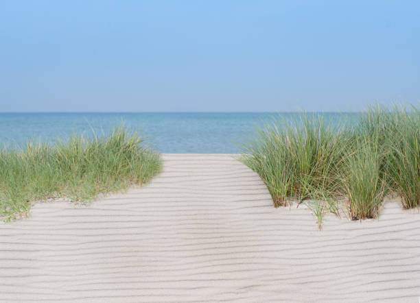 clean and bright beach with sand dune, grass, sand, water and blue sky stock photo