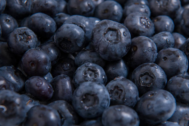 Clean freshly picked blueberries - close up studio shot. ( Ingredients:  Antioxidants , Vitamin C, Antioxidant) stock photo