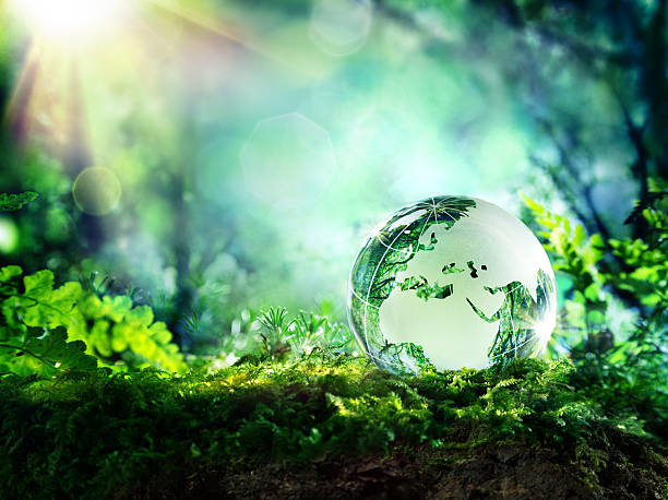 clean green planet -  environment concept - earth green background bildbanksfoton och bilder