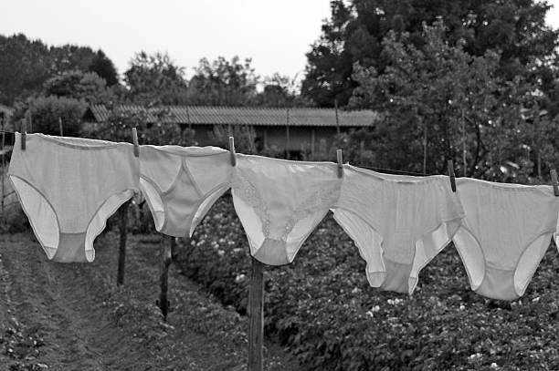 Clean Underwear. stock photo