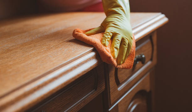 cleaning and maintenance of wooden furniture chair table with rag and cleaning agent stock photo