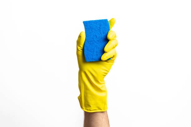 Cleaning Sponge stock photo