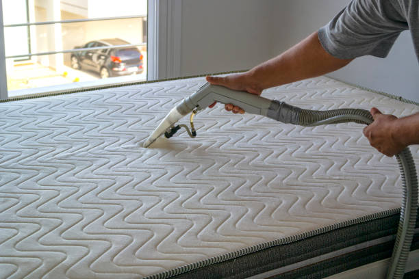 Cleaning the mattress. stock photo