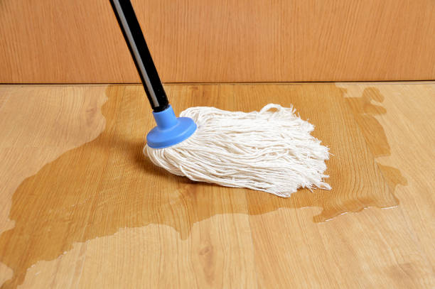 Mop In Spanish Stock Photos Pictures Royalty Free Images Istock