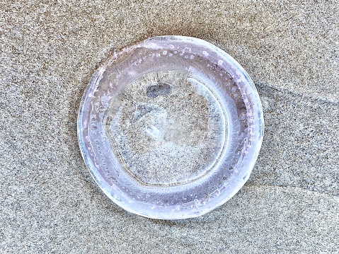 Horizontal close up flat lay of clear Australian jellyfish washed up on sand shoreline with hundreds of others after storm at Byron Bay beach NSW