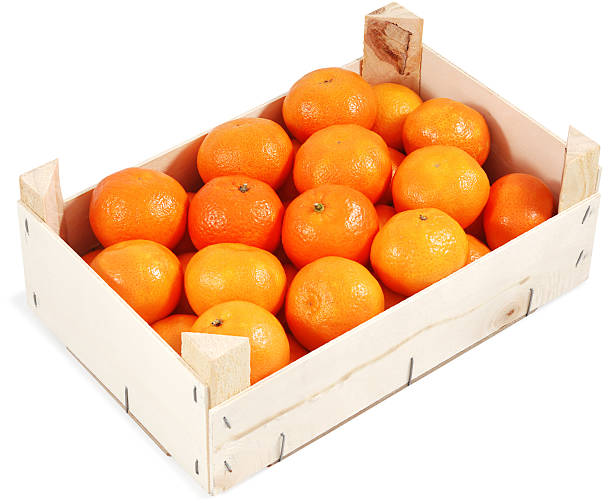 Clementines in container stock photo