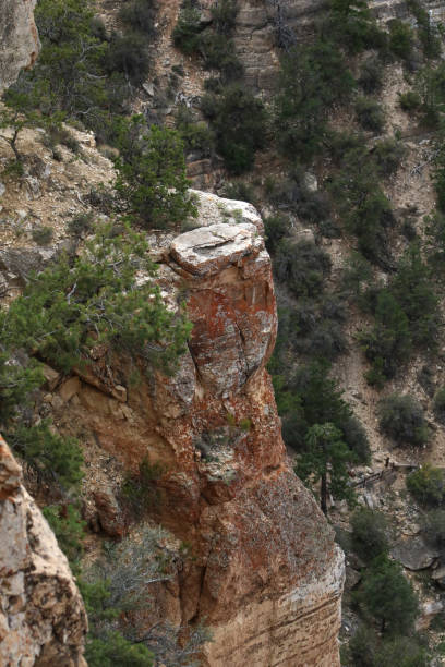 Cliff Edge of the Canyon within the Grand Canyon with Red Layers of Rock stock photo