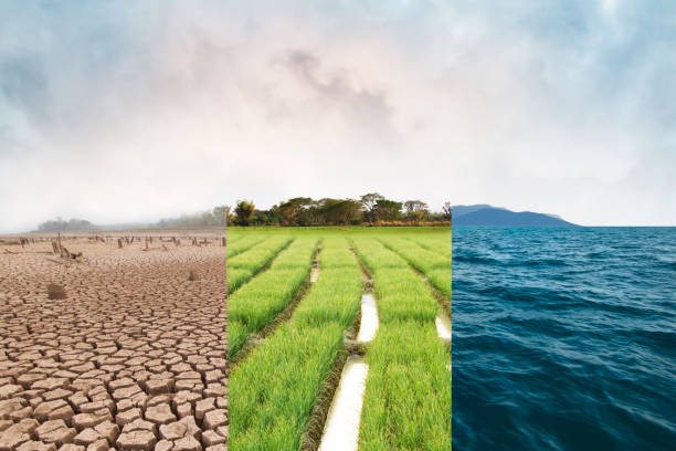 Climate change and World environmental Climate change, compare image with Drought, Green field and Ocean metaphor Nature disaster, World climate and Environment, Ecology system. climate stock pictures, royalty-free photos & images