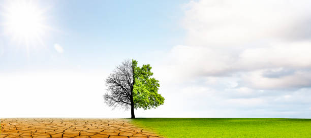 Climate change from drought to green growth stock photo