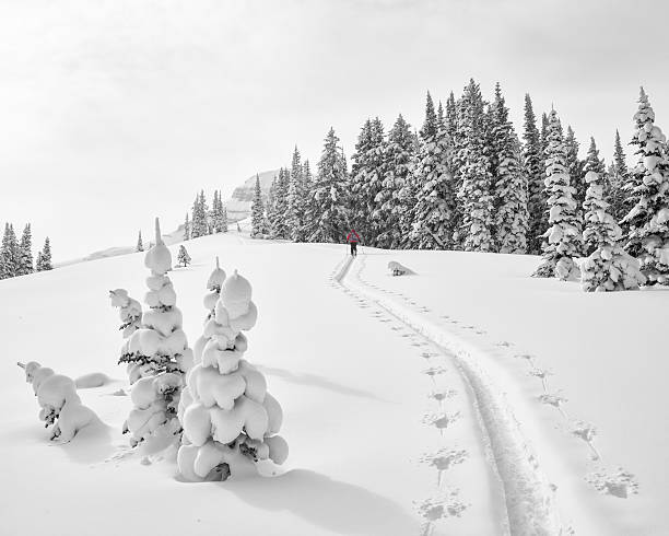 Climb in fresh snow stock photo