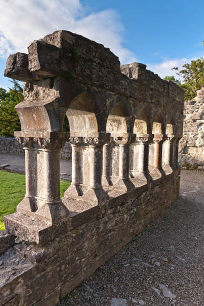 Cloister Fragment, Cong Abby, County Mayo, Ireland A fragmentary cloister were the Augustinian monks of Cong Abbey worked and prayed.  Early Gothic architecture and masonry from the 13th century. michael stephen wills cong stock pictures, royalty-free photos & images