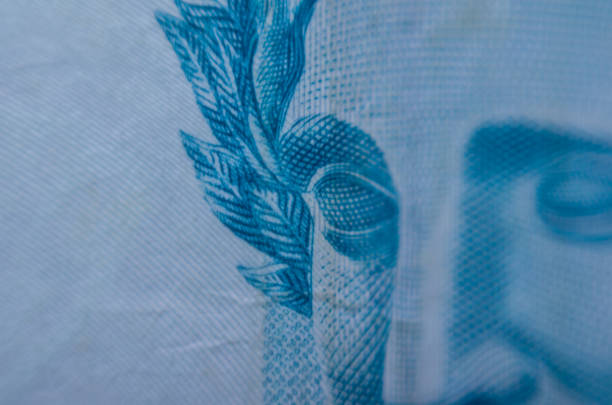 szczegóły brazylijskich pieniędzy - thiago santos zdjęcia i obrazy z banku zdjęć