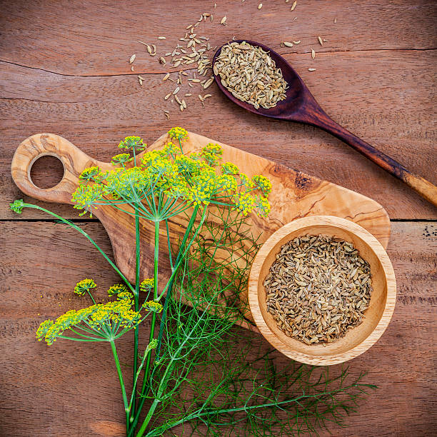 Close up blossoming branch of fennel and dried fennel seeds. Close up blossoming branch of fennel and dried fennel seeds on rustic wooden background with flat lay. fennel stock pictures, royalty-free photos & images