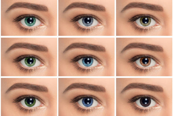 close up, composite of eyes with different color close up,collage of eyes with different color, green, gray and blue color shade on color contact lenses on human eye brown eyes stock pictures, royalty-free photos & images