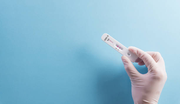 Close up doctor hand holding covid-19 rapid antigen test on blue background. Worldwide coronavirus epidemic concept. stock photo