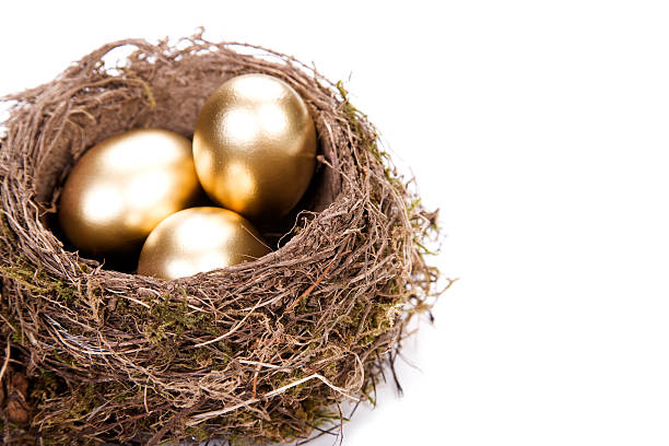 Close up of a bird's nest, with three shiny golden eggs  three golden eggs in a birds nest nest egg stock pictures, royalty-free photos & images