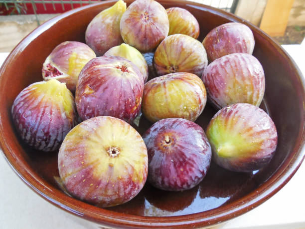 close up of a bowl with fresh purple figs stock photo