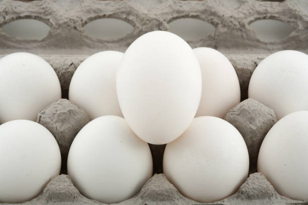 Close up of a tray with white eggs stock photo