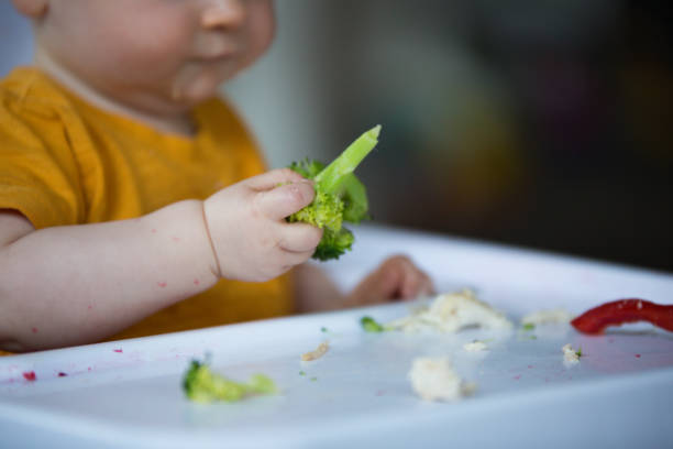 Close up of baby eating broccoli and vegetables stock photo
