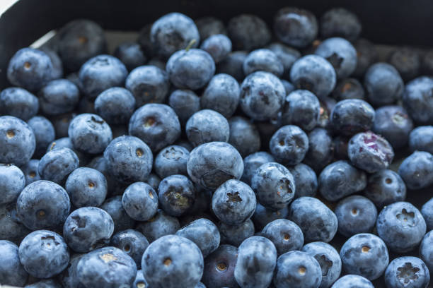 Close up of blueberries stock photo