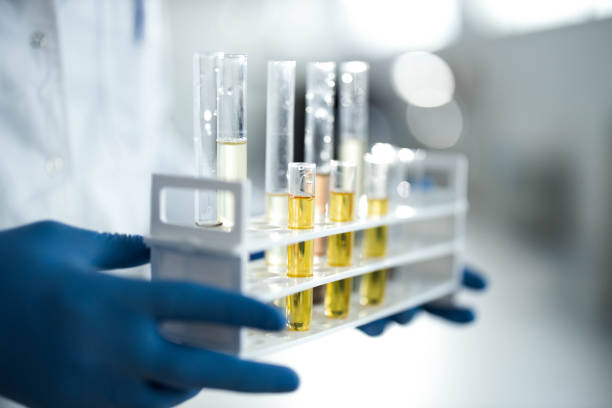 Close up of CBD oil in test tubes at laboratory. Close up of unrecognizable chemist holding large group of test tubes with essential oil in laboratory. cbd oil stock pictures, royalty-free photos & images