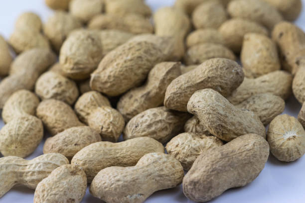 close up of dried peanuts on a white background stock photo