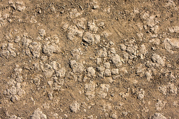 Close up of dry earth textured background stock photo