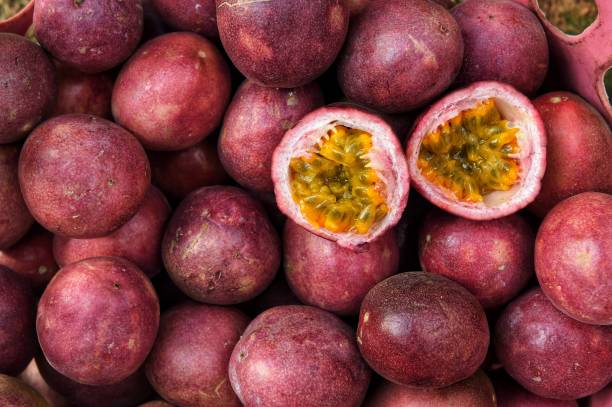 close up of fresh purple passion fruits - granadilla imagens e fotografias de stock