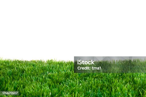 istock Close up of green grass with white background 174670507