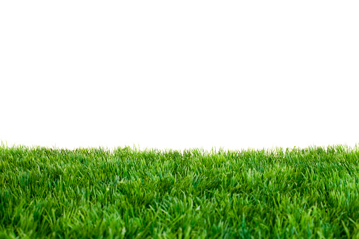Artificial Turf in Front of White Background. Focused near Horizon.