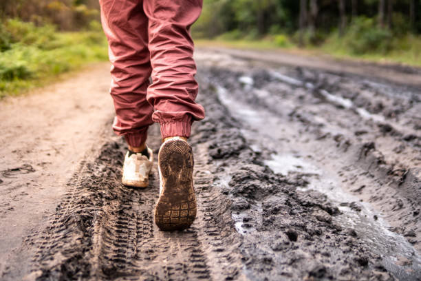 sluit omhoog van wandelwandelaars modderig op bospad. - muddy shoes stockfoto's en -beelden
