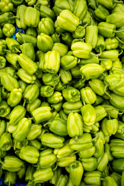 A close up of many green peppers stock photo