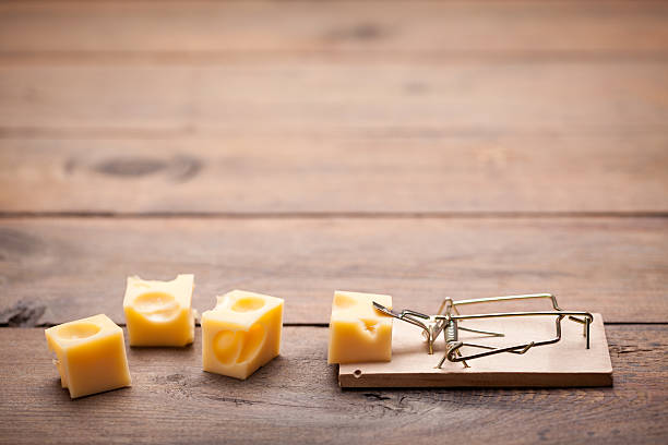 Close up of mouse trap on old wooden table stock photo