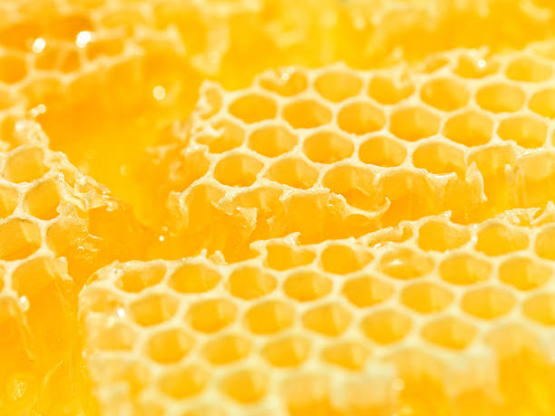 Close up of pieces of yellow honeycomb stock photo