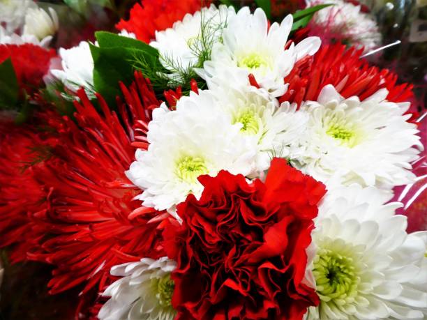 Close up of Red and White Christmas Bouquet stock photo