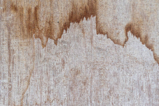 Close up of texture wooden board. stock photo