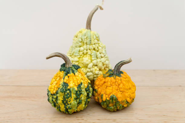close up of unusual shaped squash. brightly coloured,  peculiar bumpy and knobbly butternut squash and pumpkin close up of unusual shaped squash. brightly coloured,  peculiar bumpy and knobbly butternut squash and pumpkin on a table in kitchen in the autumn knobby knees stock pictures, royalty-free photos & images