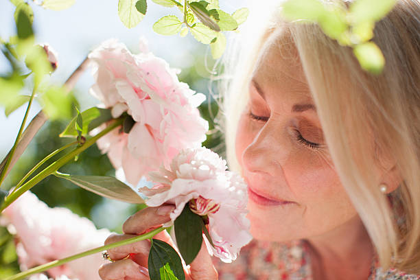 close up of woman smelling pink flowers - kokulu stok fotoğraflar ve resimler