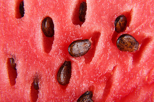 Close up pattern of watermelon pulp stock photo