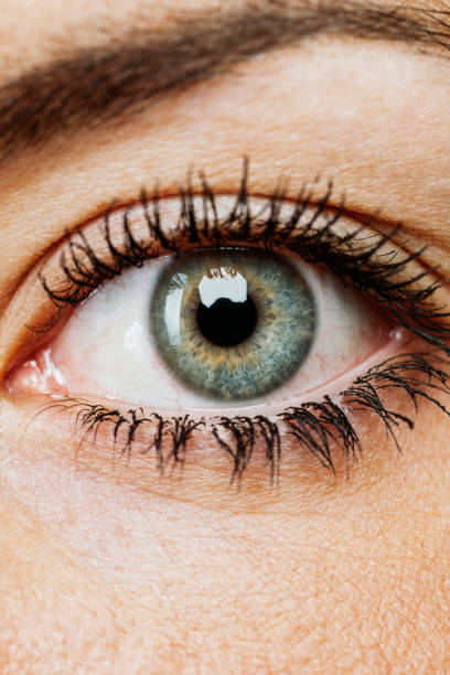 Close up portrait of a woman's eye stock photo